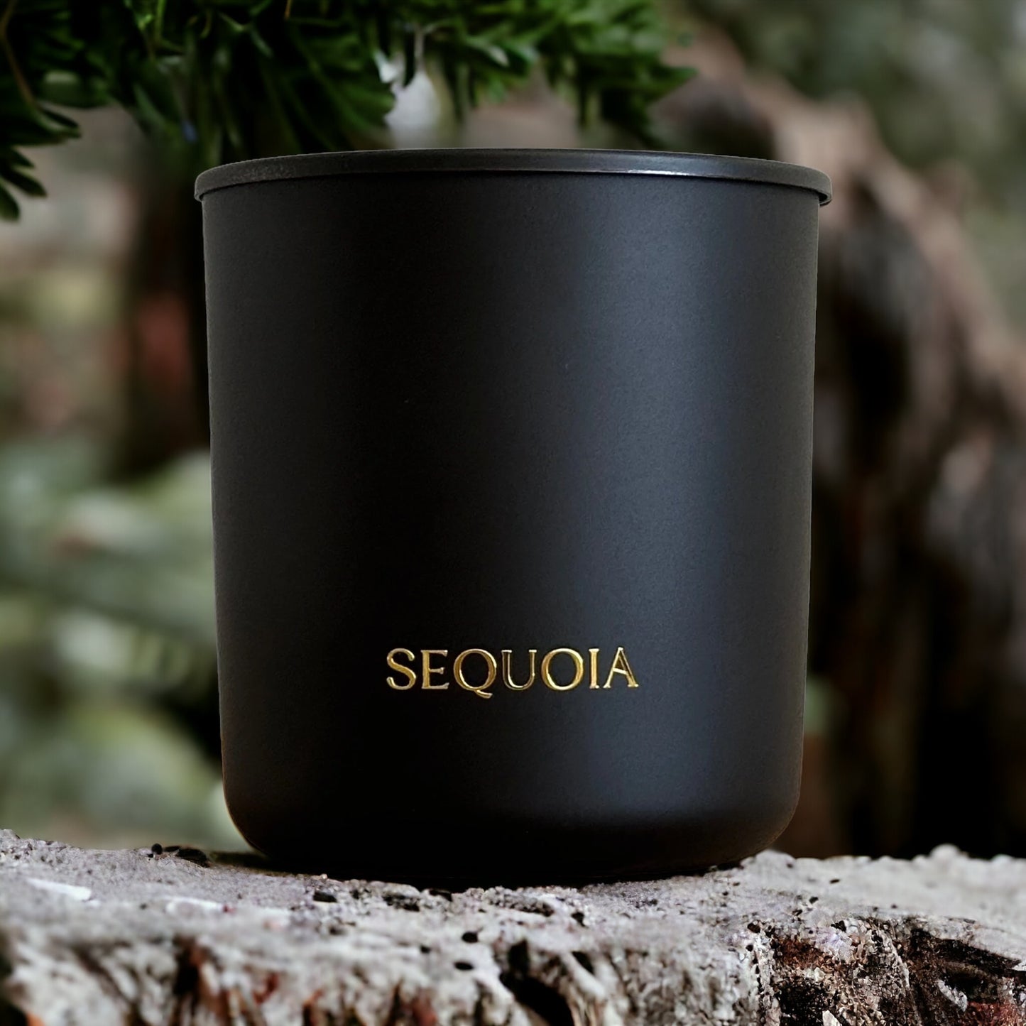 Sequoia Candle - 8 oz